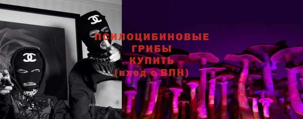 дурь Покачи