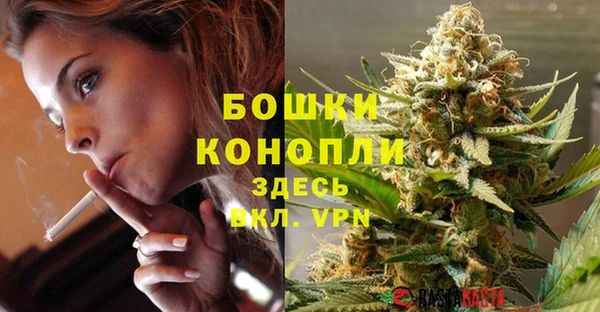 бошки Алексин