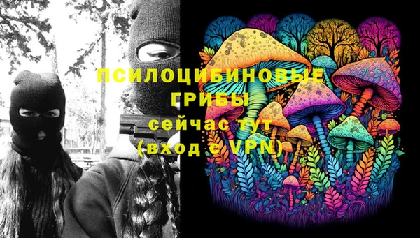 героин Алзамай