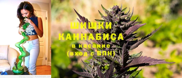 бошки Алексин